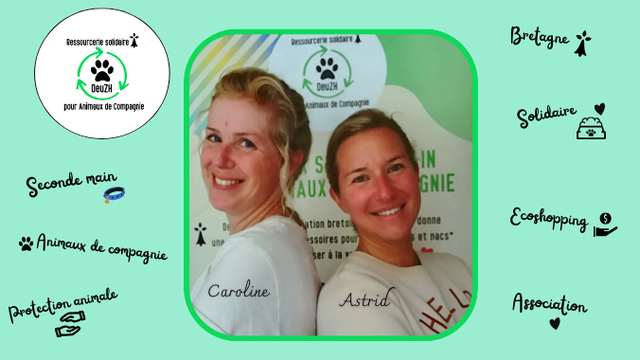 Imagen de portada del proyecto DeuZH, la Seconde main Solidaire pour Animaux de compagnie