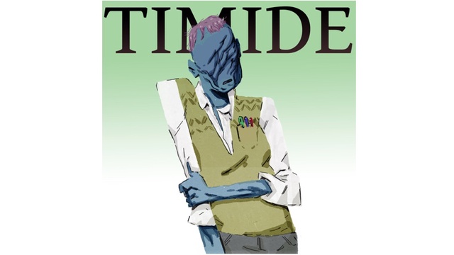 Cover image of the project TIMIDE