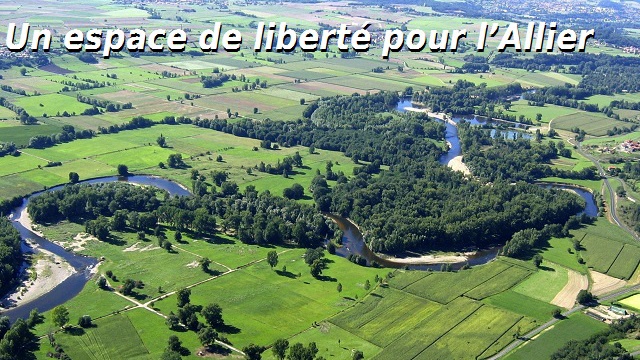 Image de couverture de la collecte Liberté pour la rivière Allier