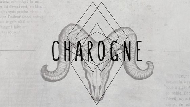 Image de couverture de la collecte CHAROGNE