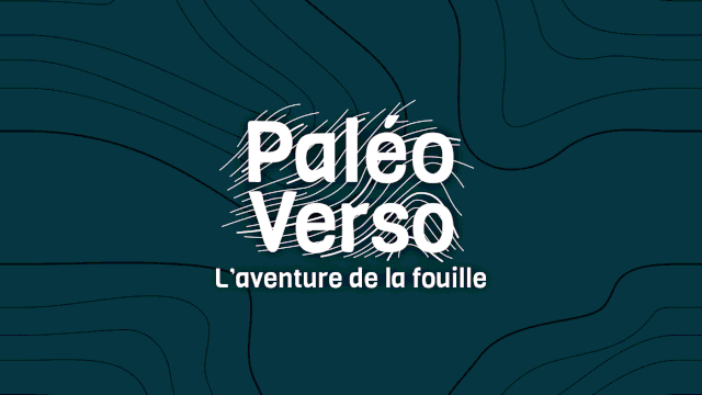 Video presentation of the project