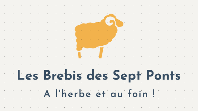 Cover image of the project Brebis laitières à l'herbe et au foin