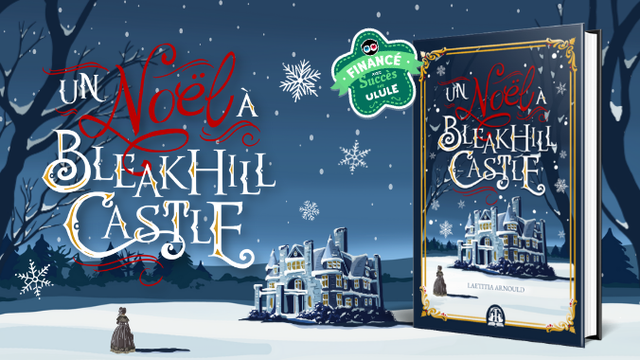 Cover image of the project Un Noël à Bleakhill Castle