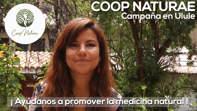 Video de presentación de tu proyecto