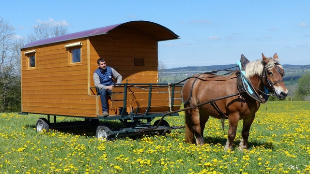 Cover image of the project Transition d'habitation vers une roulotte hippomobile