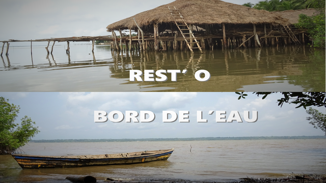 Vidéo de présentation de la collecte
