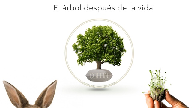 Video de presentación de tu proyecto