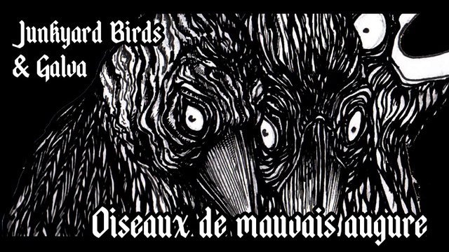 Cover image of the project Oiseaux de mauvais augure