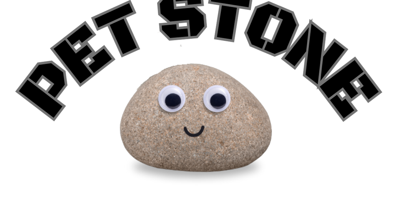 Adoptez Personnalisez votre Pet Stone Ulule