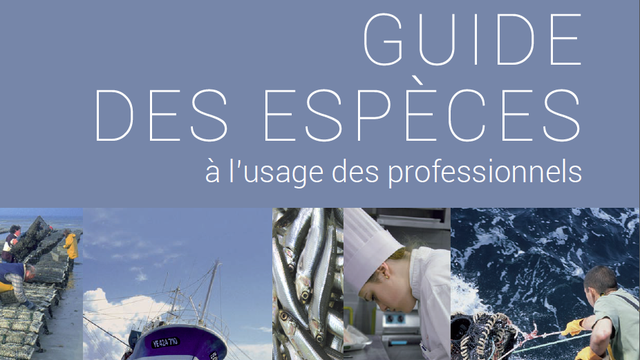 Coverafbeelding van het project Poissons et produits de la mer durables 