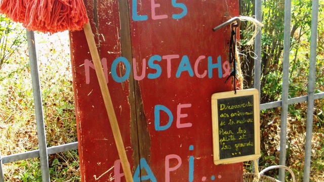 Imagen de portada del proyecto Une camionnette pour Les Moustaches de Papi