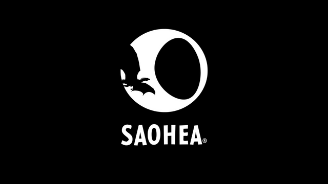 Cover image of the project SAOHEA : Marque Streetwear | Narration fantaisie