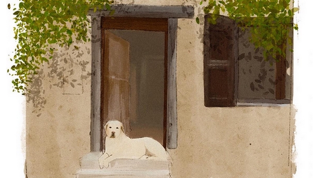 Cover image of the project Yann, le court-métrage