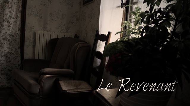 Image de couverture de la collecte "Le revenant"