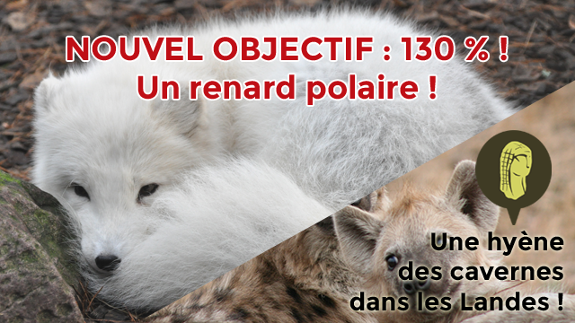 Vidéo de présentation de la collecte