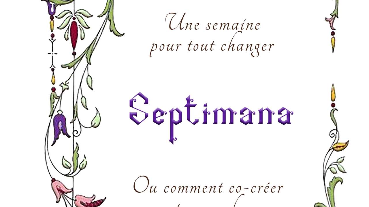 Cuillère Tournante SpinMad 3,5 G - Pour Truite, Toutes Couleurs, Avec Hameçon VMC Protégé