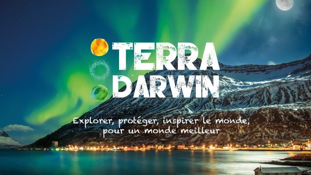 Video presentation of the project