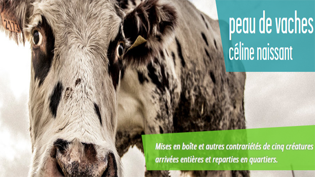 Cover image of the project Peau de Vaches - Comédie