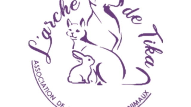 Cover image of the project Arche de Tika