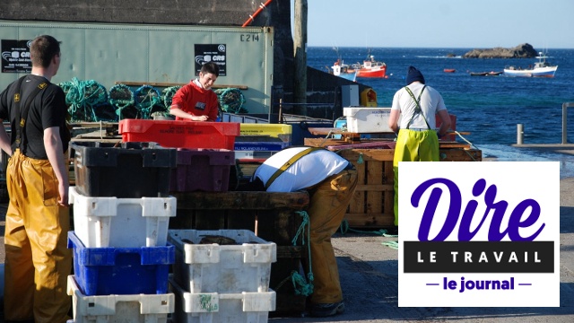 Cover image of the project L'été des travailleurs
