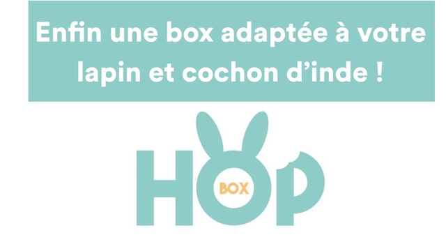 Cover image of the project Hop-box : La box pour les lapins et cochons d'inde