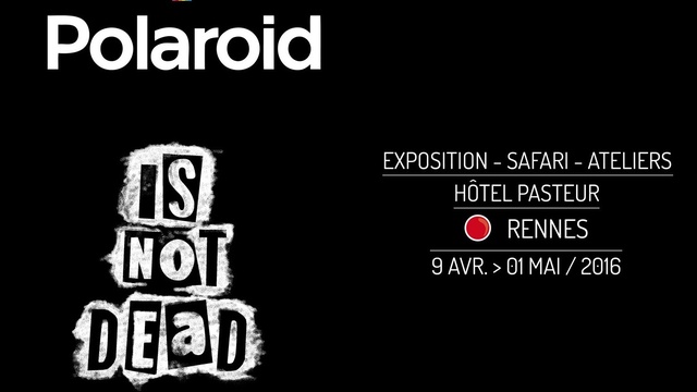 Cover image of the project Polaroid is not dead !