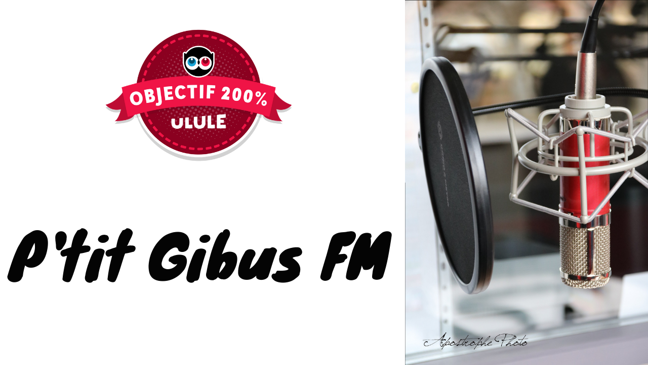 Création Radio P'tit Gibus FM
