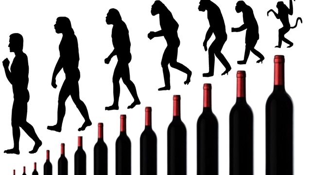 Image de couverture de la collecte LE VIN DANS TOUS LES SENS