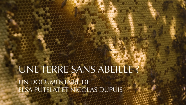 Vidéo de présentation de la collecte