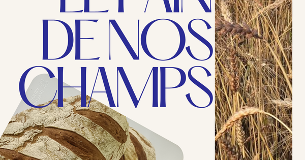 Moulin Tracol : Le pain de nos champs - Ulule
