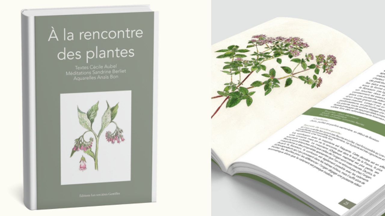 Livre illustré : A la rencontre des plantes
