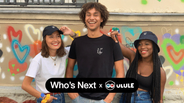 Video presentation of the project