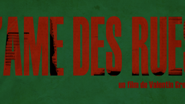 Image de couverture de la collecte L'âme des rues