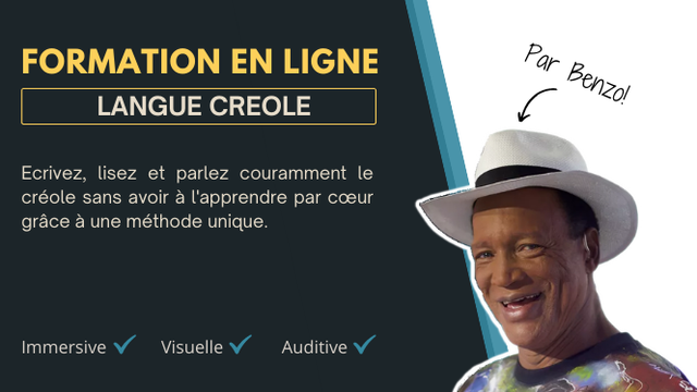 Cover image of the project La formation en ligne en langue créole de Benzo