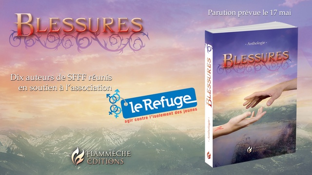 Cover image of the project Blessures