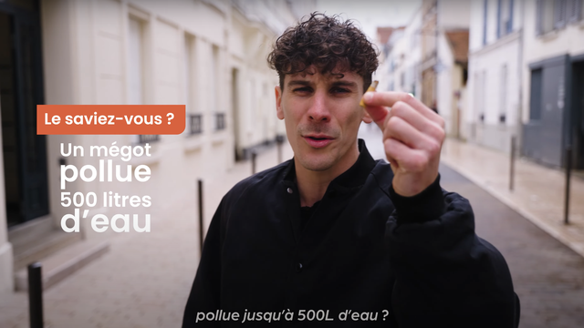 Video presentation of the project
