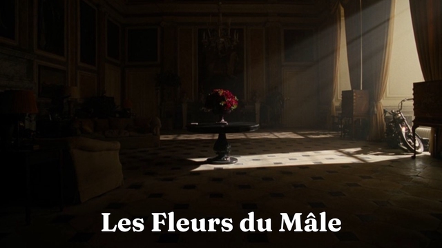 Les Fleurs du Mâle : Un rêve de court-métrage en 6 mois 🎥 - Ulule