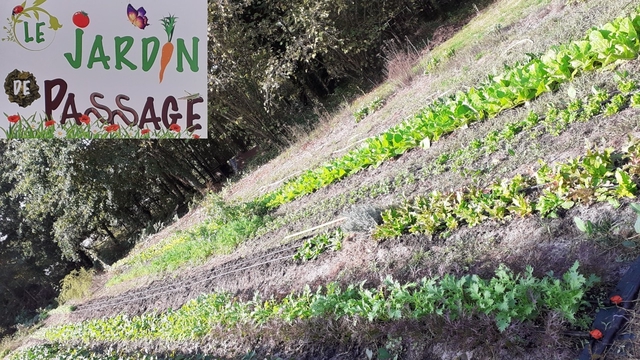 Image de couverture de la collecte Des serres pour le Jardin de Passage de Biscarrosse