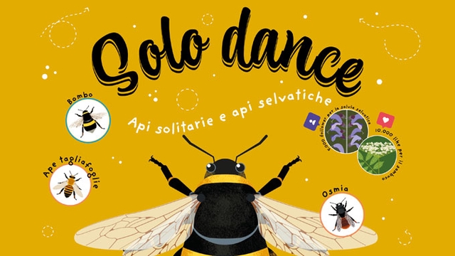 Cover image of the project Solo Dance