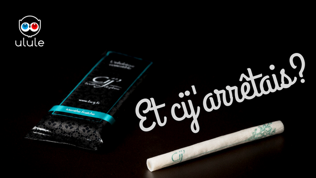 Video presentation of the project