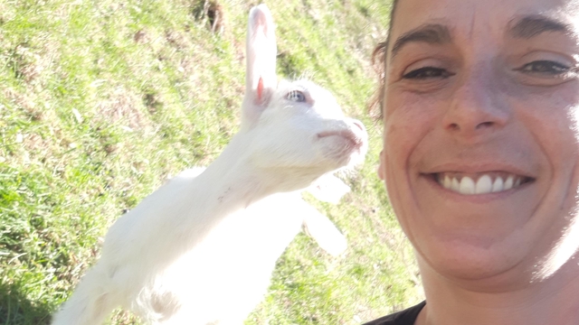 Une fromagerie artisanale au💚des Pyrénées ariégeoises. - Ulule