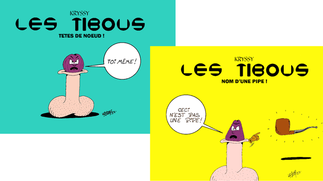 Cover image of the project LES TIBOUS