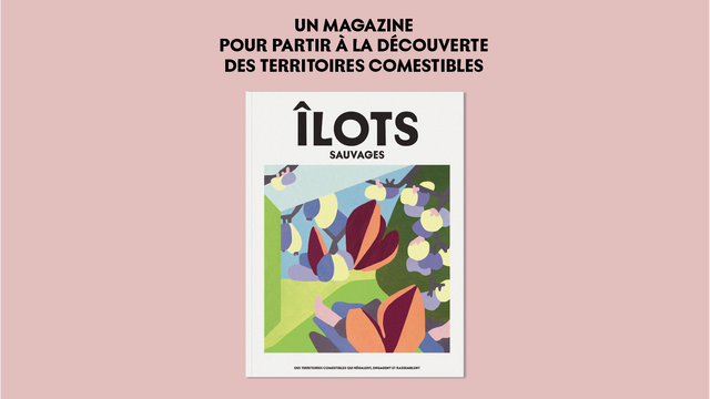 Vidéo de présentation de la collecte