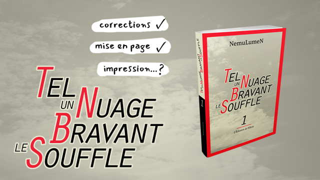 Cover image of the project Tel un Nuage Bravant le Souffle, roman SF comédie mecha et +