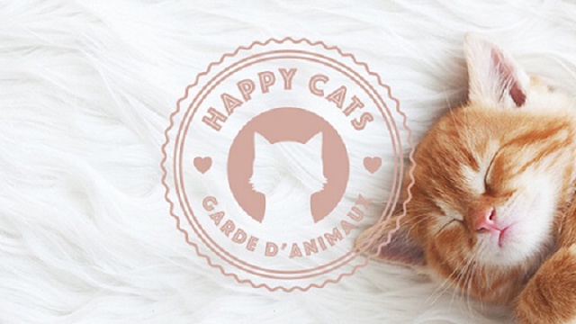 Imagen de portada del proyecto Happy Cats