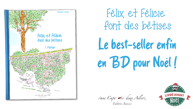 Cover image of the project Felix et Felicie font des bêtises en BD !