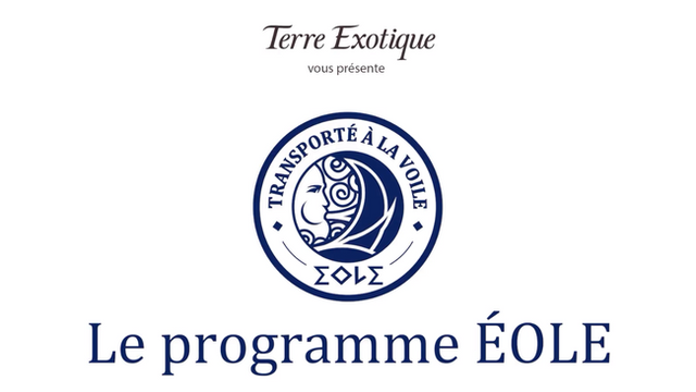 Video presentation of the project