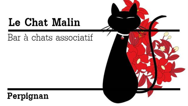 Image de couverture de la collecte Le  chat malin