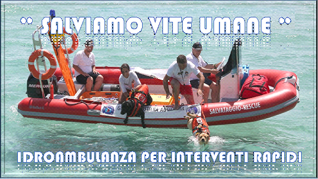 Cover image of the project IDRO-AMBULANZE PER IL SOCCORSO