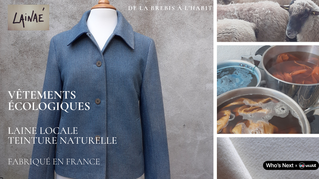 Cover image of the project Vêtements en Laine Locale et Teinture Naturelle